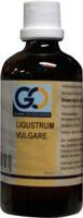 GO Ligustrum vulgare GO Ligustrum vulgare