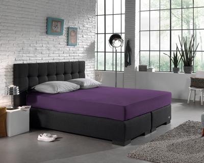 Dreamhouse Enkel Jersey 135 gr. Hoeslaken Paars 140 x 200