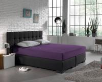 Dreamhouse Enkel Jersey 135 gr. Hoeslaken Paars 140 x 200