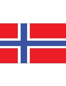 Vlag Noorwegen - 90x150 cm