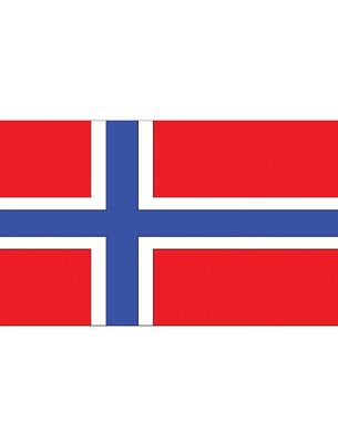 Vlag Noorwegen - 90x150 cm