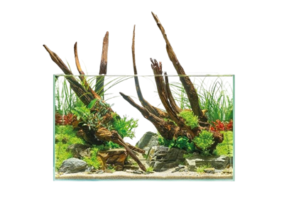 OASE ScaperLine 60 OASE ScaperLine 60