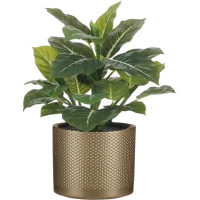 Mica Decorations Kunstplant Aroskelk - groen - H49 cm - in keramiek bloempot - goud - D15 x H13 cm