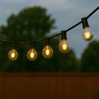 Solar lichtslinger chain met 10 led filament lampen