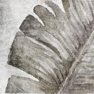 Zyx Amazonia 220959 Vloertegel 138X138 Tropic Grey 9Mm Mat R9