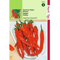 2 stuks - Hortitops - Peper Cayenne, Spaanse Lange Rode - thumbnail