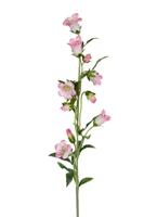 Campanula l87cm roze kunstbloem Louis Maes - Louis maes