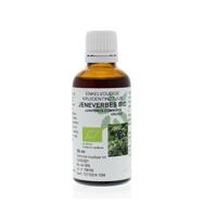 Juniperus communis fruct / jeneverbes tinctuur bio