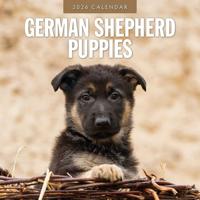 Duitse Herder Puppies Kalender 2026