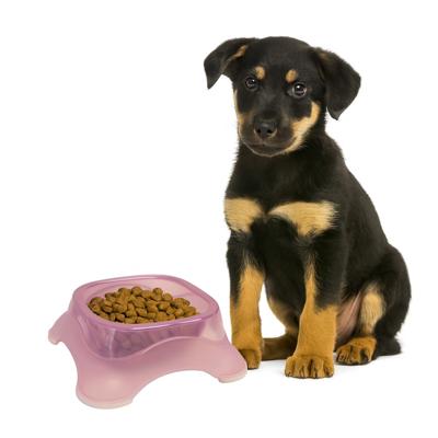 Nobleza Voerbak voor hond en kat - Roze - Maat S
