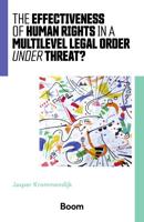 The effectiveness of human rights in a multilevel legal order under threat? - J. Krommendijk - ebook - thumbnail