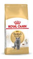 Royal Canin British Shorthair Adult droogvoer voor kat 4 kg Volwassen