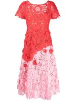 Marchesa Notte robe mi-longue Dahlia en dentelle - Rouge