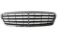 Radiateurgrille 6502073515994P
