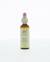 Bach Mustard/herik
