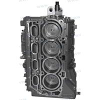 PAF15-07000000 - MOTORASSEMBLAGE Yamaha