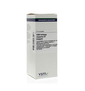 Solidago virgaurea D1