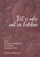 Dit is alles wat we hebben (Paperback)
