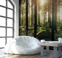 Fotobehang boswandeling met zon