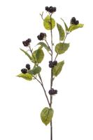 Blackberry spray burgundy 90 cm Emerald - Emerald