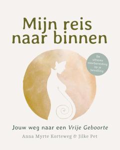 Mijn reis naar binnen (Paperback)