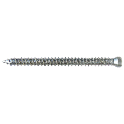 pgb-Europe SMART | Kozijnschroef CK-T30 Ø 7,50x42 Zn | 100 st SM0WSC0010750423