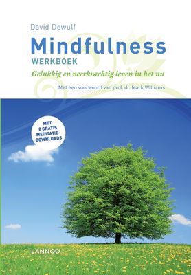Mindfulness - David Dewulf - ebook