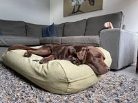 Dog's Companion® Hondenbed moss velvet extra small