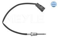 Sensor, uitlaatgastemperatuur 7148000035