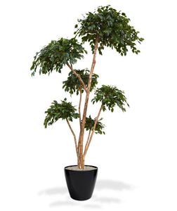 Ficus Exotica Layer Giant kunstboom 300cm