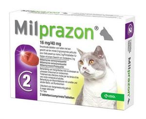 Krka milprazon ontwormingstabletten kat (>2 KG 16 MG/40 MG 2 TBL)