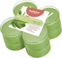 Maxilichten clear cup True Scents Green Tea 8u - Bolsius