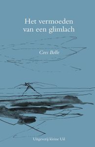 Het vermoeden van een glimlach - Cees Bolle - ebook