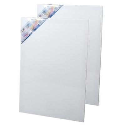 Canvas schildersdoek - 2x - 60 x 40 cm - voor hobby verven/schilderen