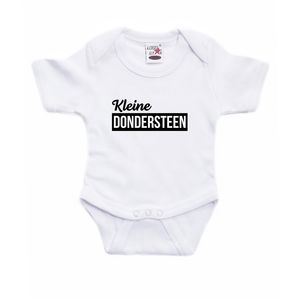 Kleine dondersteen cadeau baby rompertje wit jongen/meisje