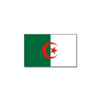 Vlag Algerije - groen/wit/rood - polyester - 90x150 cm - landen vlag