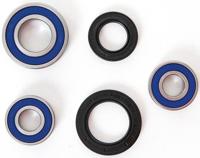 ALL BALLS Racing Wheel bearing sets 25-144 complete with simmerrings