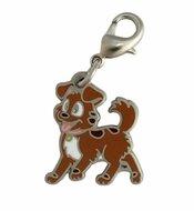 Tracker Nano Geocoin/Zipper pull/Charm with Clasp Tracker Nano Geocoin/Zipper pull/Charm with Clasp