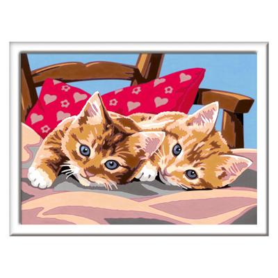 Ravensburger Creart schilderen op nummer - twee knuffelige katten