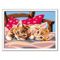 Ravensburger Creart schilderen op nummer - twee knuffelige katten