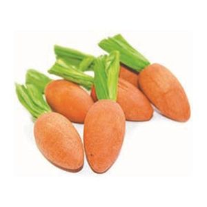 Critter&apos;s choice Carrot nibblers knaaghout