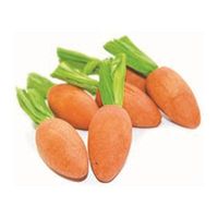 Critter&apos;s choice Carrot nibblers knaaghout