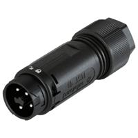 Wieland Electric 46.052.4154.1 Steekverbinder