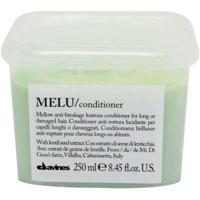 Voedende Conditioner Davines Minu 250 ml