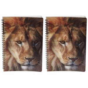 2x stuks leeuw schrift 3D 21cm