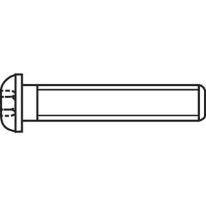 TOOLCRAFT 839802 Lenskopschroeven M4 20 mm Binnenzeskant (inbus) RVS A2 100 stuk(s)