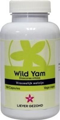 Liever Gezond Wild yam root (100 caps)