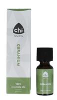 CHI Geranium cultivar Egypte