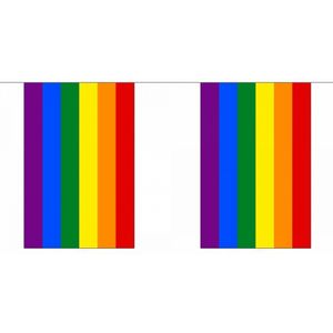 Vrolijk gekleurde regenboog vlaggenlijn 9 m