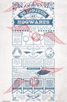 Poster Harry Potter - Quidditch at Hogwarts 61x91,5cm